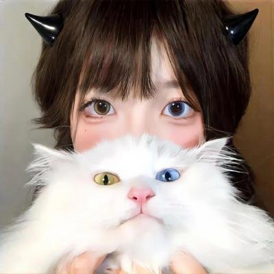 格里芬历险记